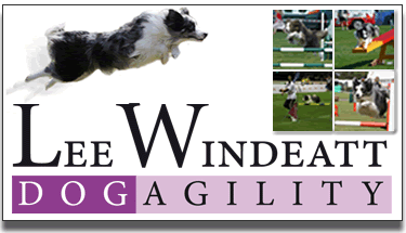 Lee Windeatt Dog Agility Dog training medway maidstone kent dog training kent